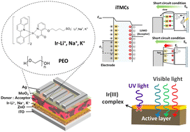 Ionic Ir(iii) complex-interfacial layer for efficient carrier