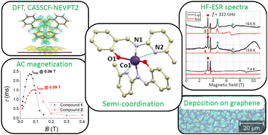 Tetracoordinate Co(ii) complexes with semi-coordination as stable ...