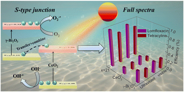 Construction of a novel S-type γ-Bi2O3/CeO2 heterojunction for highly ...