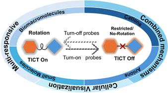 Twisted intramolecular charge transfer (TICT) based fluorescent probes and imaging agents