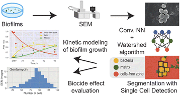 From the microscale to the macroscale. Reproduced with permission