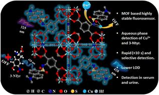 A fluorophore anchored MOF for fast and sensitive sensing of Cu(ii