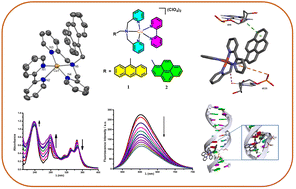 Chromophore appended DPA-based copper(ii) complexes with a diimine ...