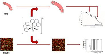 Ru(ii) based dual nitric oxide donors: electrochemical and ...
