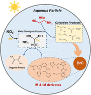 Monoethanolamine decay mediated by photolysis of nitrate in 