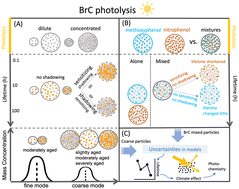 Co-photolysis of mixed chromophores affects atmospheric lifetimes of ...