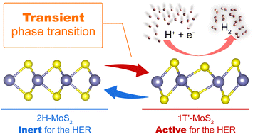 Transient phase transition during the hydrogen evolution reaction ...