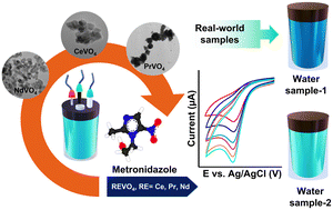 Insight into lanthanides REVO4 (RE = Ce, Pr, Nd): a