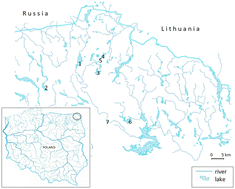 Estimation of summer CO2 emission from the littoral of lakes of ...