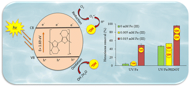 Mechanistic investigation of the photocatalytic activity of PEDOT for ...