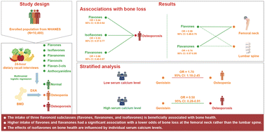 Intake of dietary flavonoids in relation to bone loss among u.s. adults