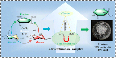 Highly efficient production and purification of fructose via glucose  isomerization by calcium chloride and triethylamine - Green Chemistry (RSC  Publishing)