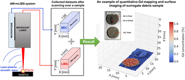 Simultaneous analysis of gadolinium and surface imaging using a fiber ...