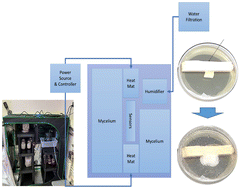 Design and build a green tent environment for growing and charactering ...