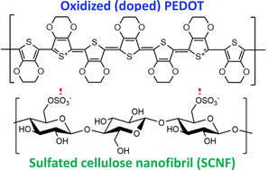 In situ polymerized PEDOT dispersions with sulfated cellulose ...