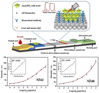 A nanostructured lateral flow immunoassay strip combined with Au@SiO2 ...