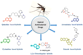 Image showcasing Drug Interactions with Antimalarial Medications in Older Travelers: A ...