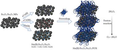 Synthesis of Fe3O4/Fe2O3 nanoparticles modified with peroxidase with ...