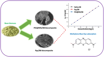 Conversion Of Phaseolus Vulgaris Into Chemically Functionalized ...