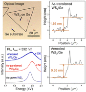 Effects Of Post-transfer Annealing And Substrate Interactions On The ...