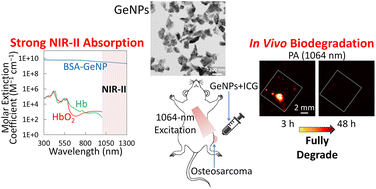 Biodegradable germanium nanoparticles as contrast agents for near ...