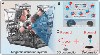 Combined three dimensional locomotion and deformation of functional ...