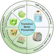 Design and multilevel regulation of transition metal phosphides for
