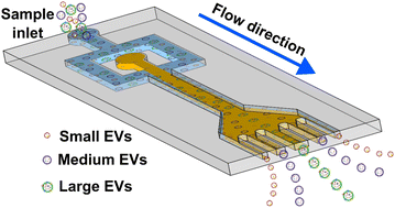 Nanoparticle Separation Technology: Market Disruption Analysis and Investment Opportunities