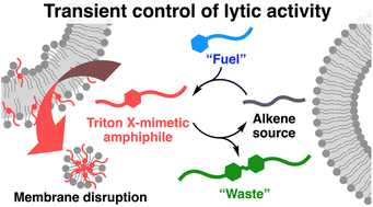 Transient control of lytic activity via a non-equilibrium chemical ...