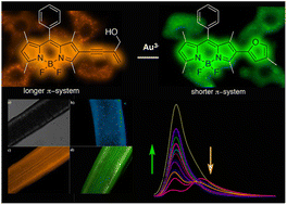 A reaction-based scenario for fluorescence probing of Au(iii) ions in ...