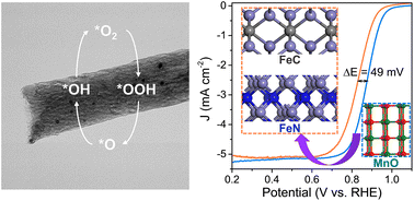 MnO synergizes with FeC–FeN in carbon nanofibers to boost oxygen ...