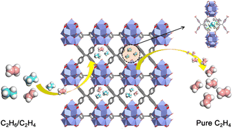 A highly connected metal organic framework with a specific