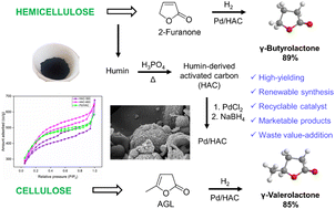 Renewable synthesis of butyrolactone from biomass derived 2