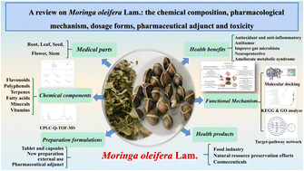 Moringa Actives Review: Unlocking Natural Weight Loss Benefits