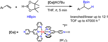 Homoleptic octahedral CoII complexes as precatalysts for