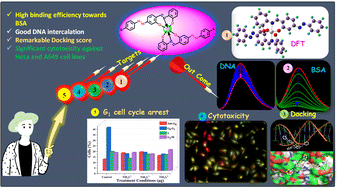 Bioactive O^N^O^ Schiff base appended homoleptic titanium(iv) complexes ...