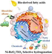 ReOx promotes Ni cluster interactions on TiO2 to improve the activity ...