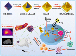 Biotin-decorated hollow gold nanoshells for dual-modal imaging-guided ...
