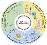 how does glp-1 work The GLP-1 revolution: What UAB researchers are discovering about how these  drugs work