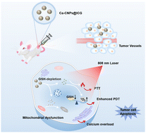 glutathione and calcium Benefits of Glutathione Injections main image 1