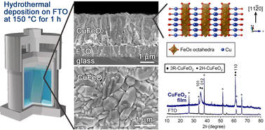 One-pot hydrothermal synthesis of orientated delafossite CuFeO2