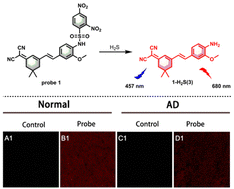 A novel NIR fluorescent probe for visualizing hydrogen sulfide in ...