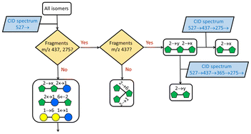 Structural determination of fructooligosaccharides and raffinose family ...