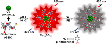 Ultra-small water-soluble fluorescent copper nanoclusters for p-nitrophenol  detection