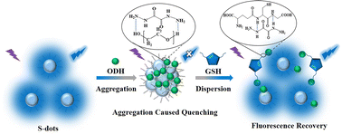 Detection and discrimination of glutathione among biological thiols based  on oxalyl dihydrazide decorated sulfur nanodots - Chemical Communications  (RSC Publishing)