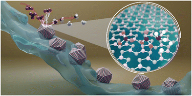 Ni2P active site ensembles tune electrocatalytic nitrate reduction ...