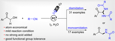 Visible-light-induced Ritter-type amidation of α-hydroxy ketones in the ...