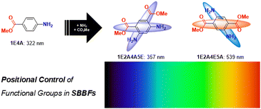 Positional effects of electron-donating and withdrawing groups on