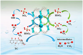 Co-based MOF as an efficient catalyst by peroxymonosulfate activation ...