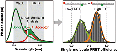 Linear spectral unmixing analysis in single-molecule FRET spectroscopy ...